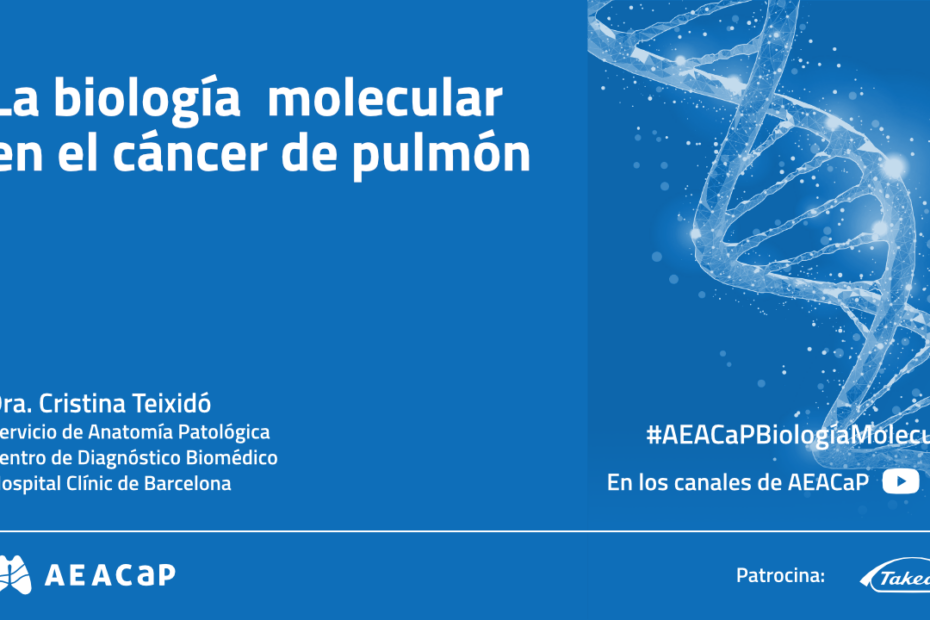 Seminario web ‘La biología molecular en el cáncer de pulmón’ de febrero