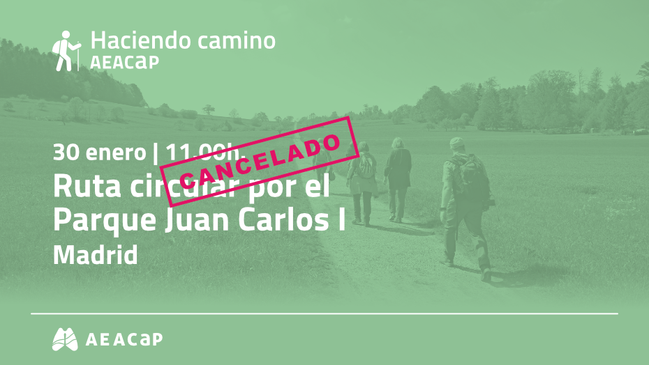 Haciendo Camino AEACaP - Madrid