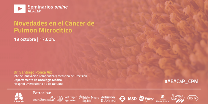 Seminario web – ‘Novedades en el Cáncer de Pulmón Microcítico’